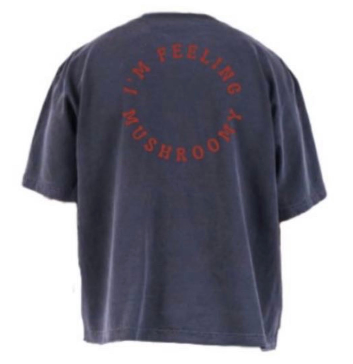 Drop Shoulder 100% Cotton I’m feeling mushroomy T